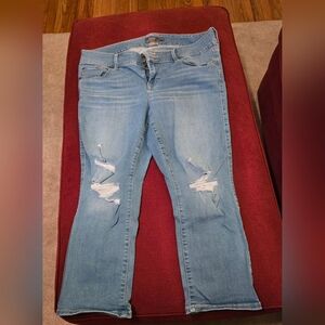 Torrid Light Blue Distressed Jeggings